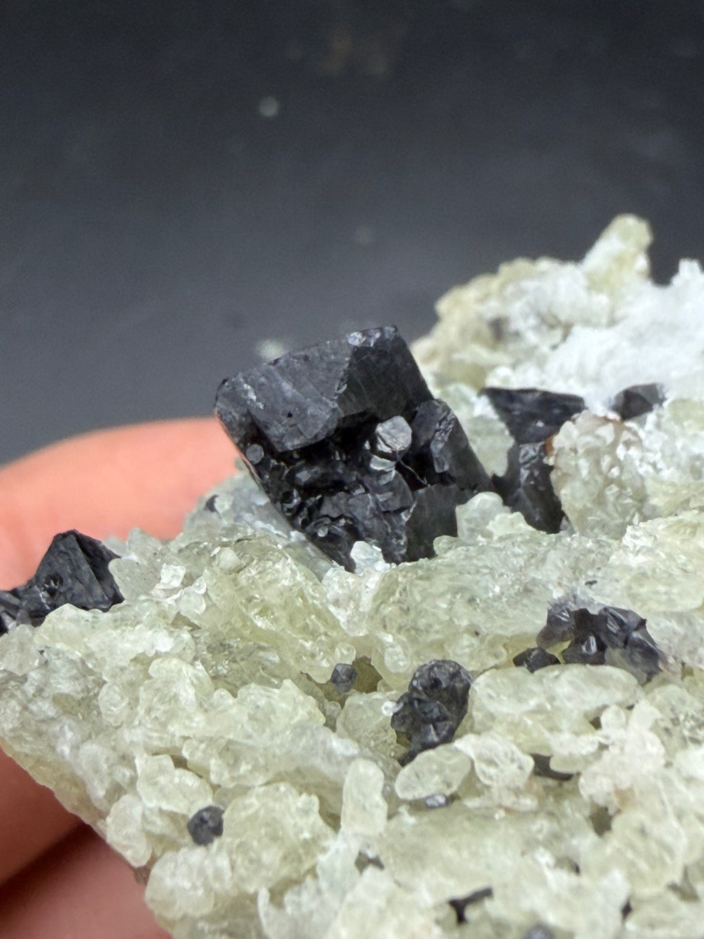 Spinelles Violet Foncé sur Forsterite, Québec, Canada, Sp#168