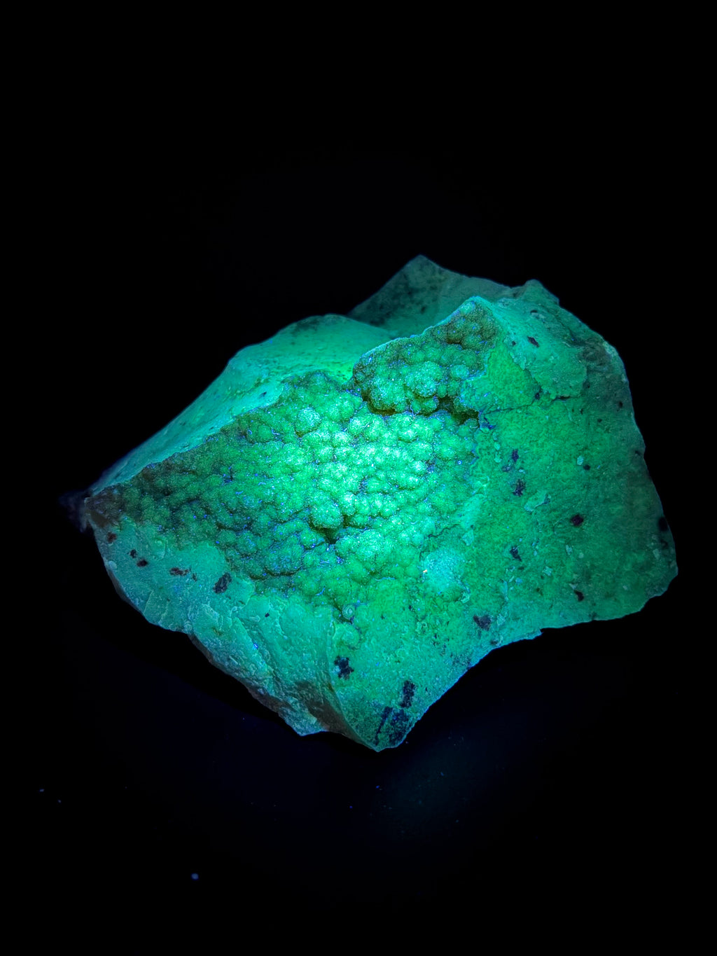 Quartz Agate avec cristaux botryoïdaux fluorescents vert sous UV onde courte 254nm, Outaouais, Grenville, Québec, Canada, Sp#177