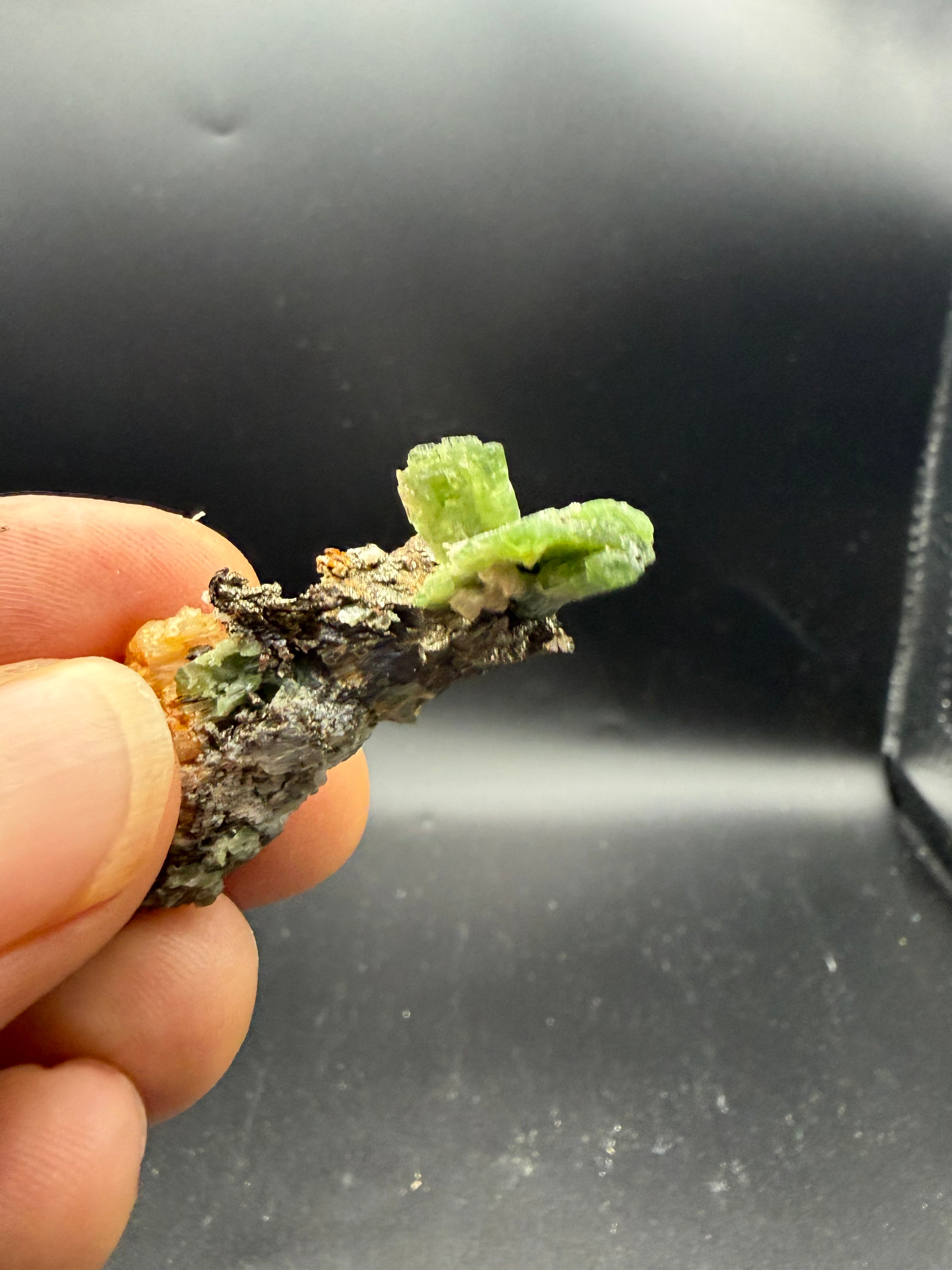 Tremolite verte  var. chrome sur pyrite, Lac-ste-marie, Québec, Canada, Grenville, Sp#189