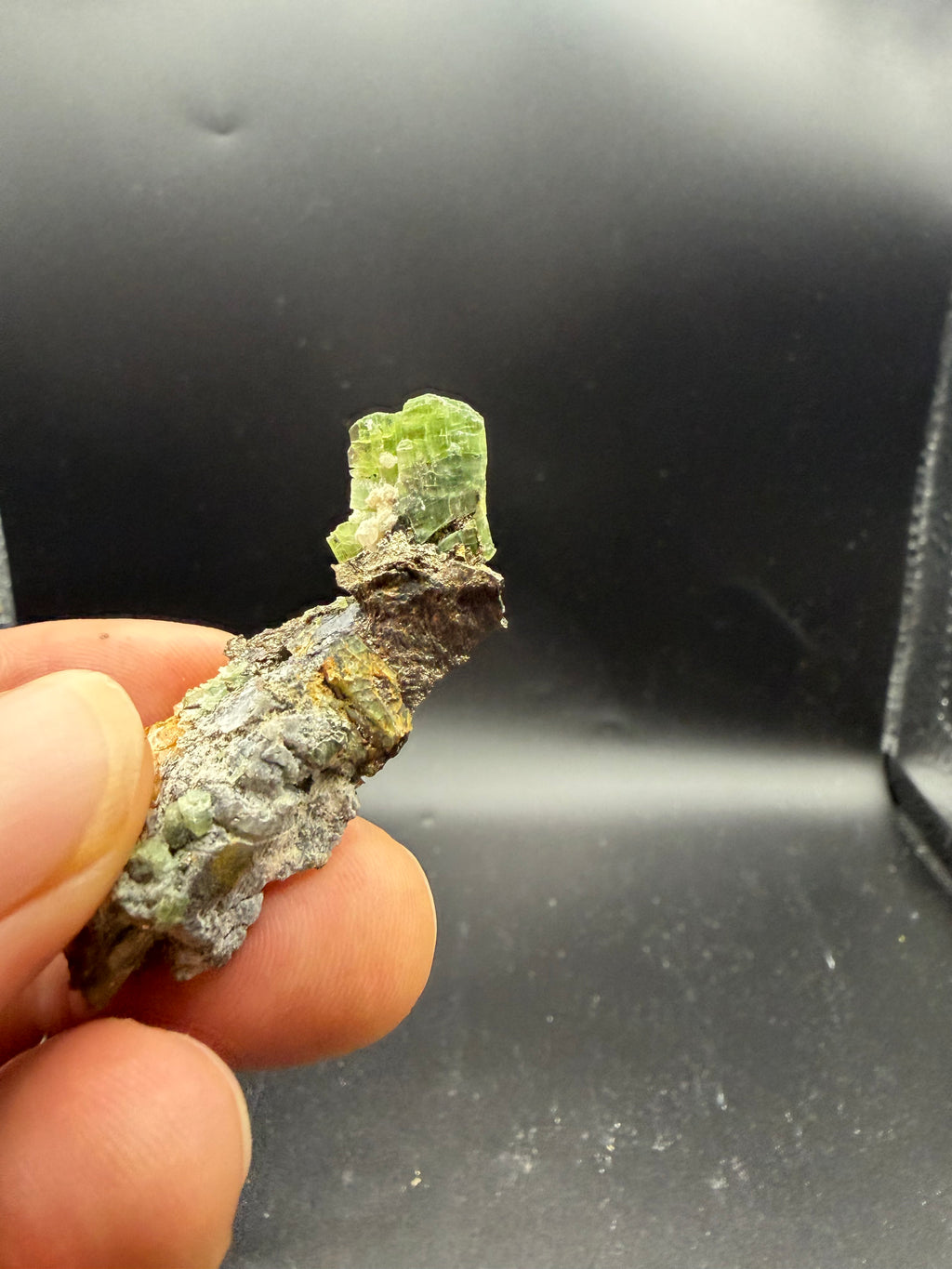Tremolite verte  var. chrome sur pyrite, Lac-ste-marie, Québec, Canada, Grenville, Sp#189