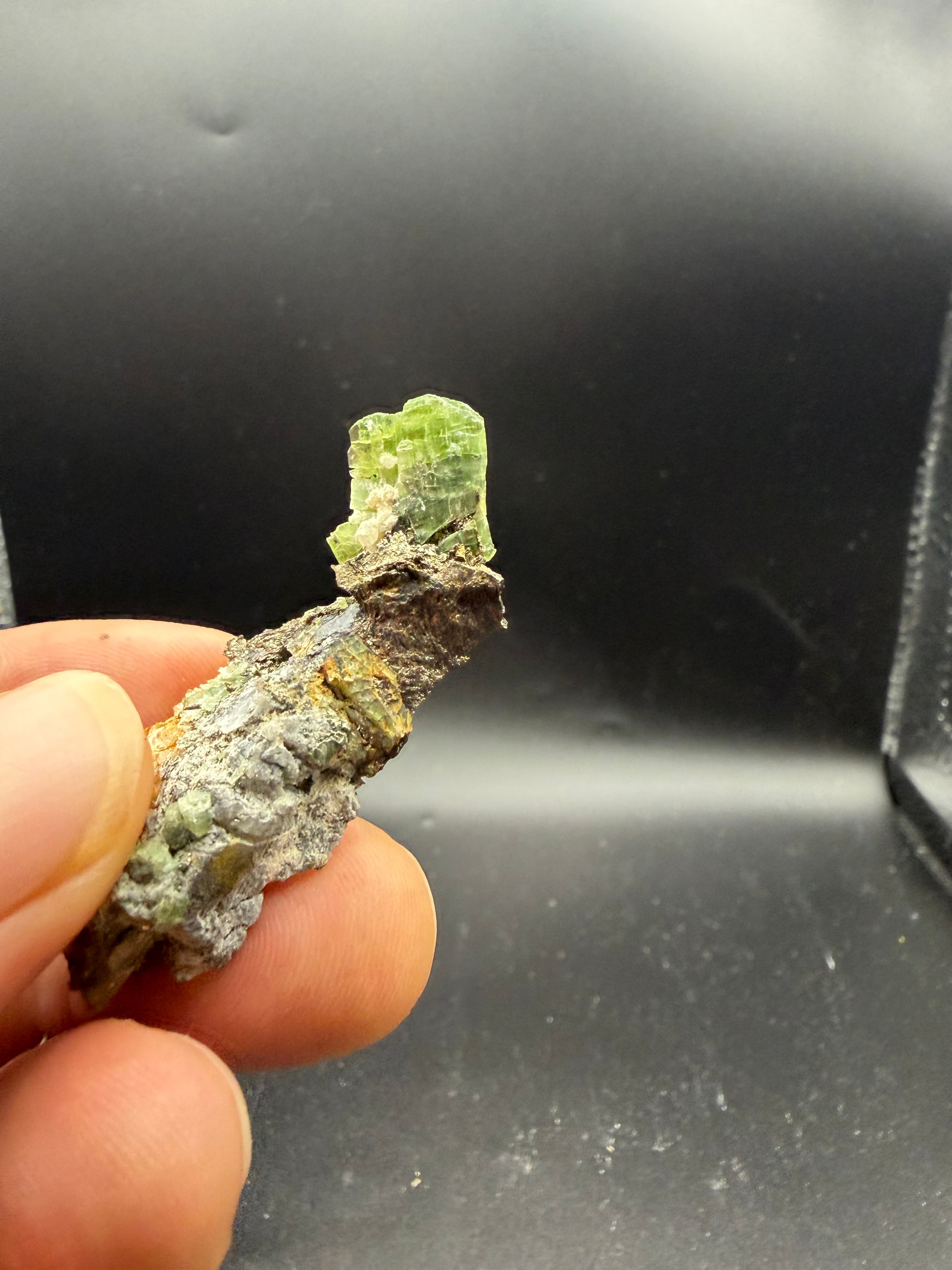 Tremolite verte  var. chrome sur pyrite, Lac-ste-marie, Québec, Canada, Grenville, Sp#189