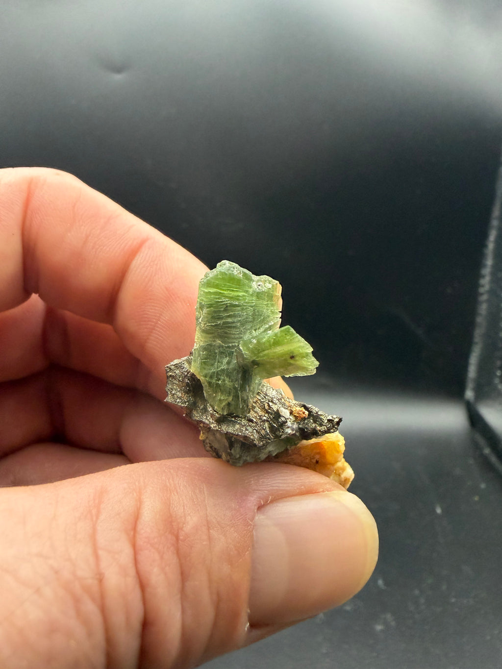 Tremolite verte  var. chrome sur pyrite, Lac-ste-marie, Québec, Canada, Grenville, Sp#189