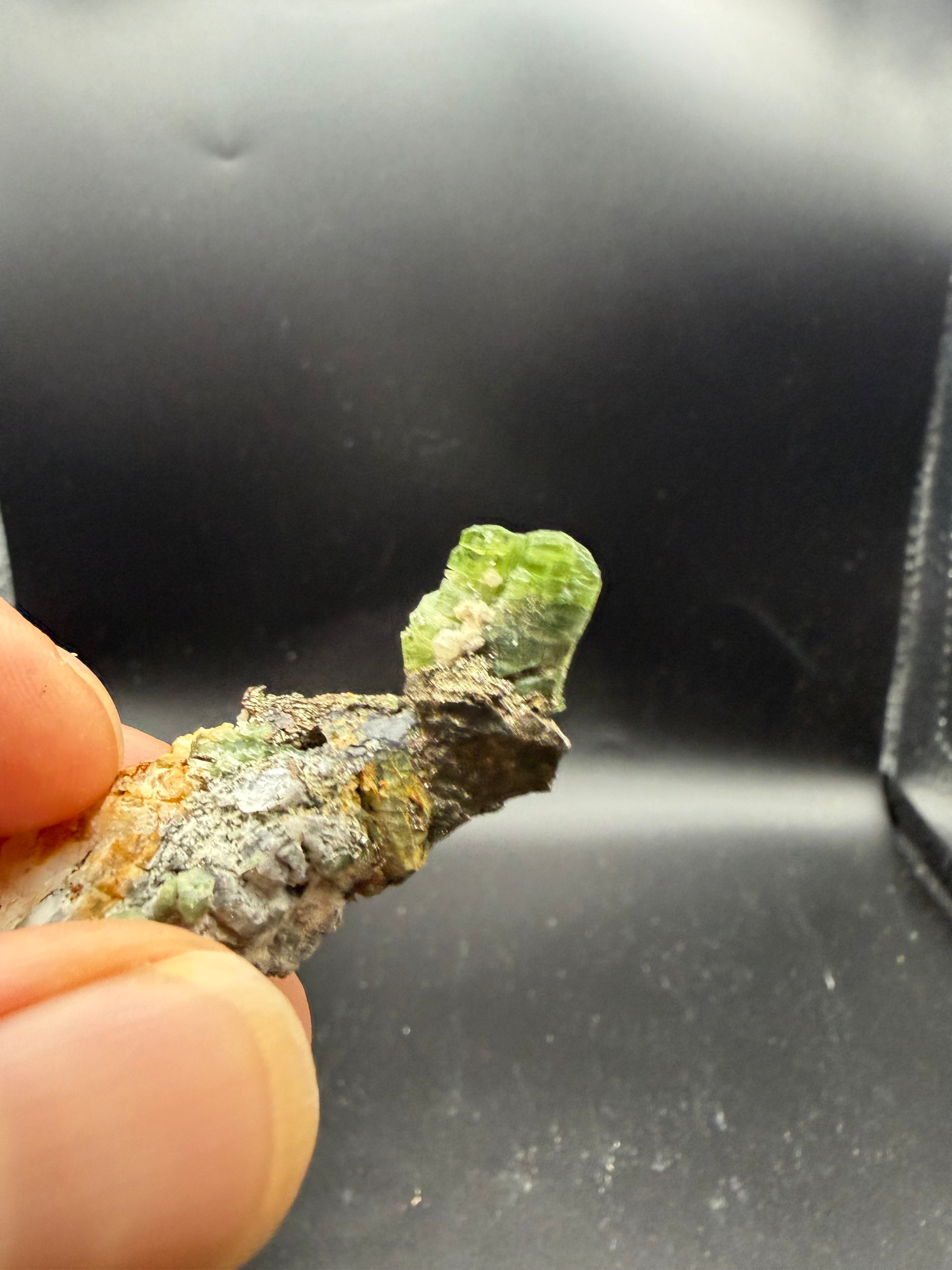 Tremolite verte  var. chrome sur pyrite, Lac-ste-marie, Québec, Canada, Grenville, Sp#189