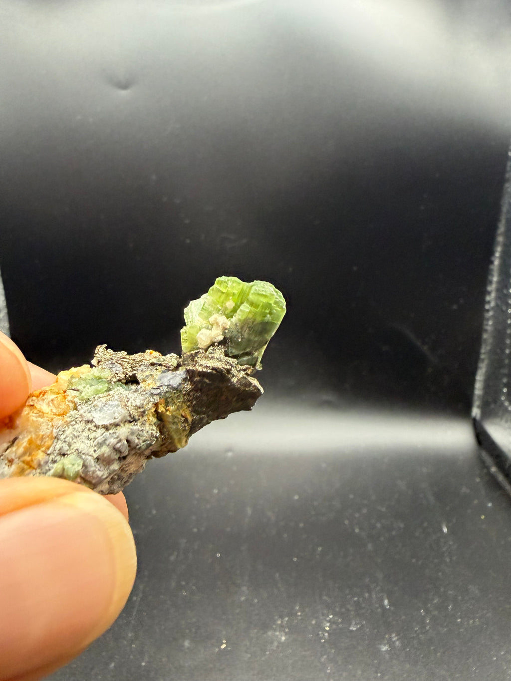Tremolite verte  var. chrome sur pyrite, Lac-ste-marie, Québec, Canada, Grenville, Sp#189