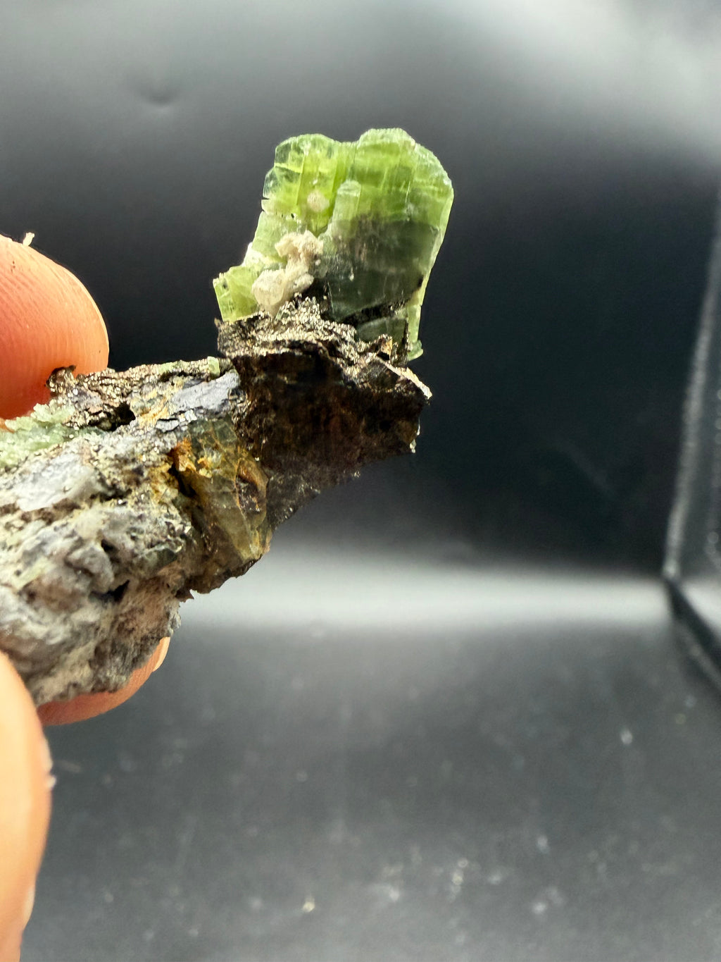 Tremolite verte  var. chrome sur pyrite, Lac-ste-marie, Québec, Canada, Grenville, Sp#189