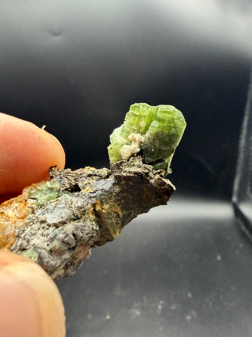 Tremolite verte  var. chrome sur pyrite, Lac-ste-marie, Québec, Canada, Grenville, Sp#189