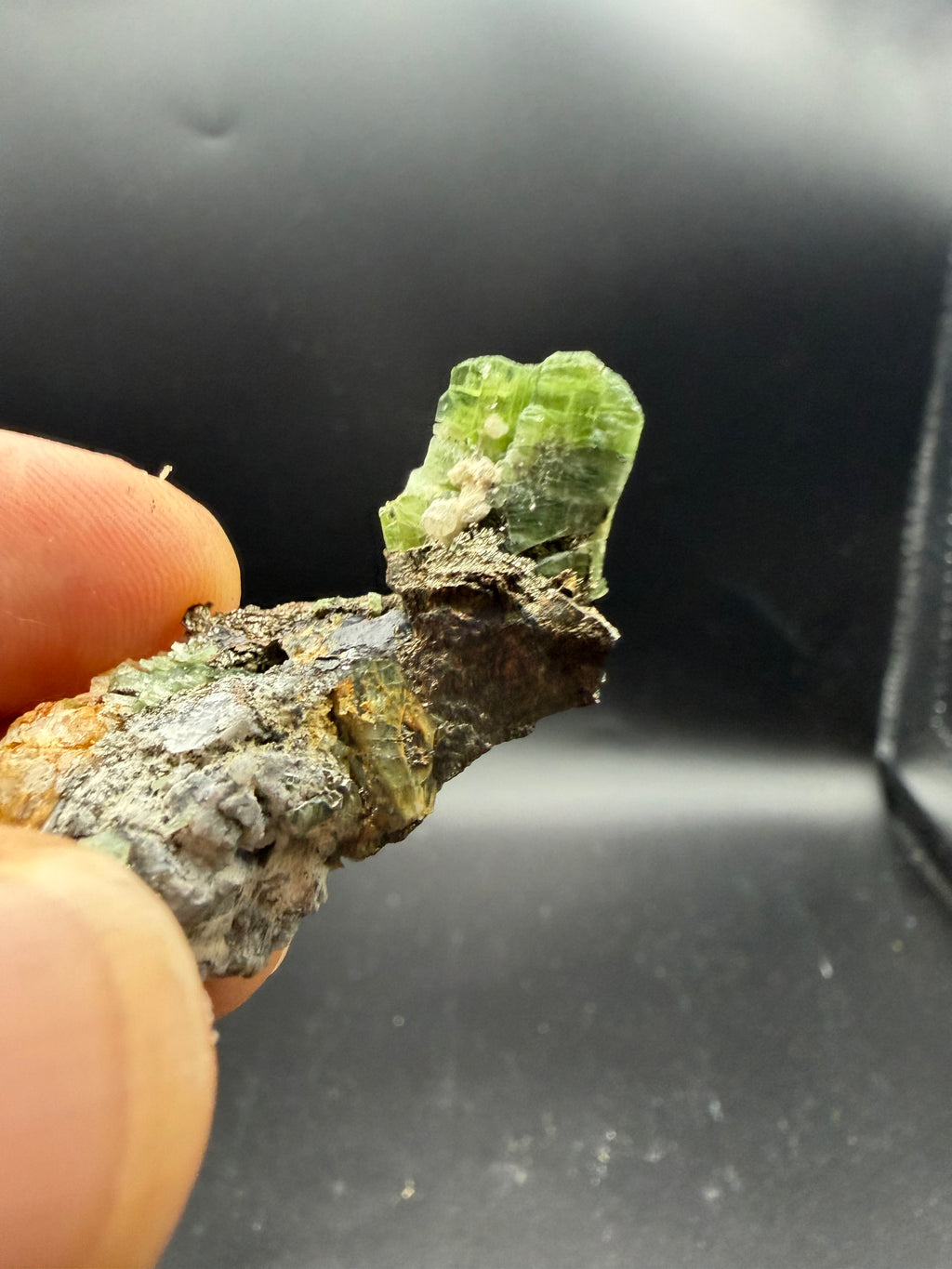 Tremolite verte  var. chrome sur pyrite, Lac-ste-marie, Québec, Canada, Grenville, Sp#189