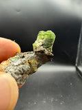 Tremolite verte  var. chrome sur pyrite, Lac-ste-marie, Québec, Canada, Grenville, Sp#189
