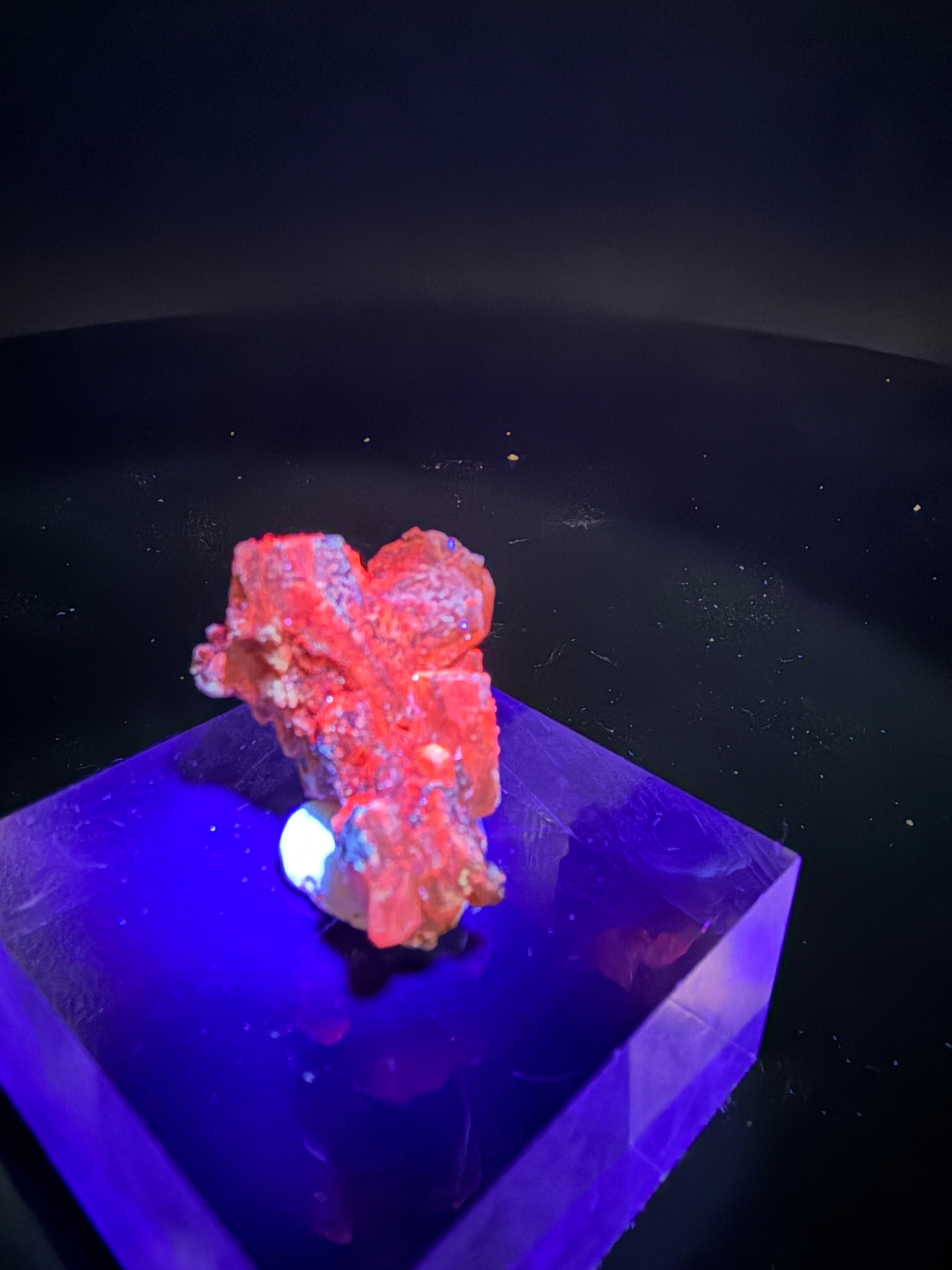 Amas de cristaux de Calcite,  Fluorescent orange sous Uv Short wave 254nm, Wakefield, Québec, Canada, Grenville, Sp#188