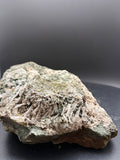 Scapolite fluorescente avec actinolite verte et quartz sur matrice – 19×14×8,5 cm, Sp#189