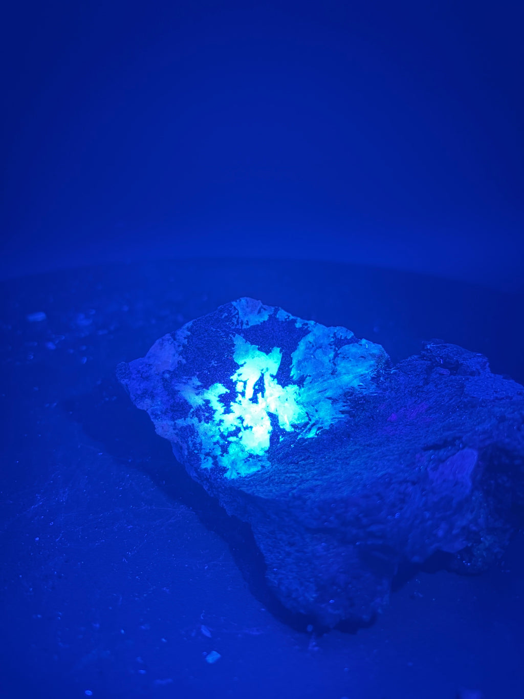 Pyroxène avec Minéraux Inconnus fluorescent – Zec-Bas-Couper-Désert, Québec