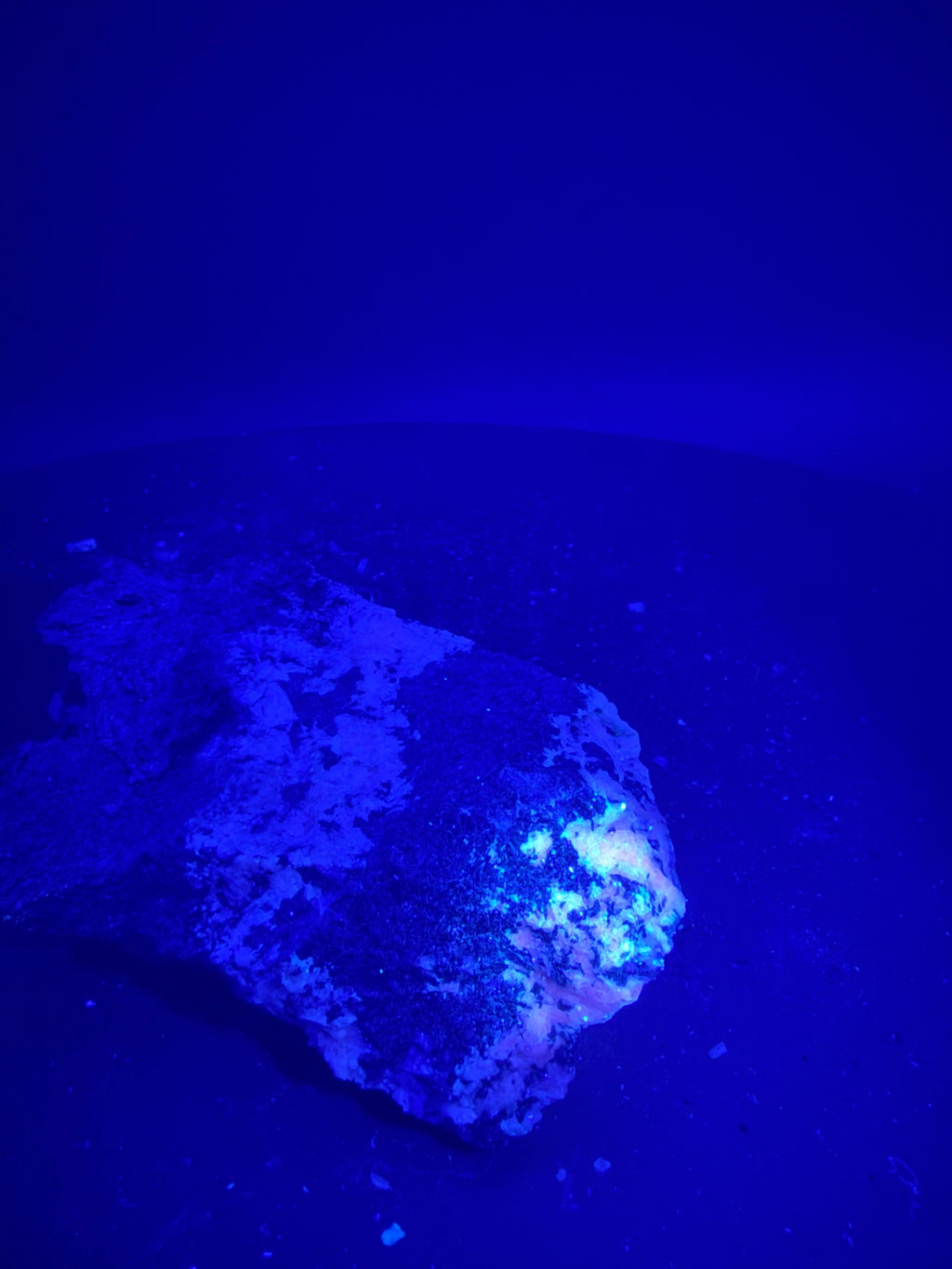 Pyroxène avec Minéraux Inconnus fluorescent – Zec-Bas-Couper-Désert, Québec