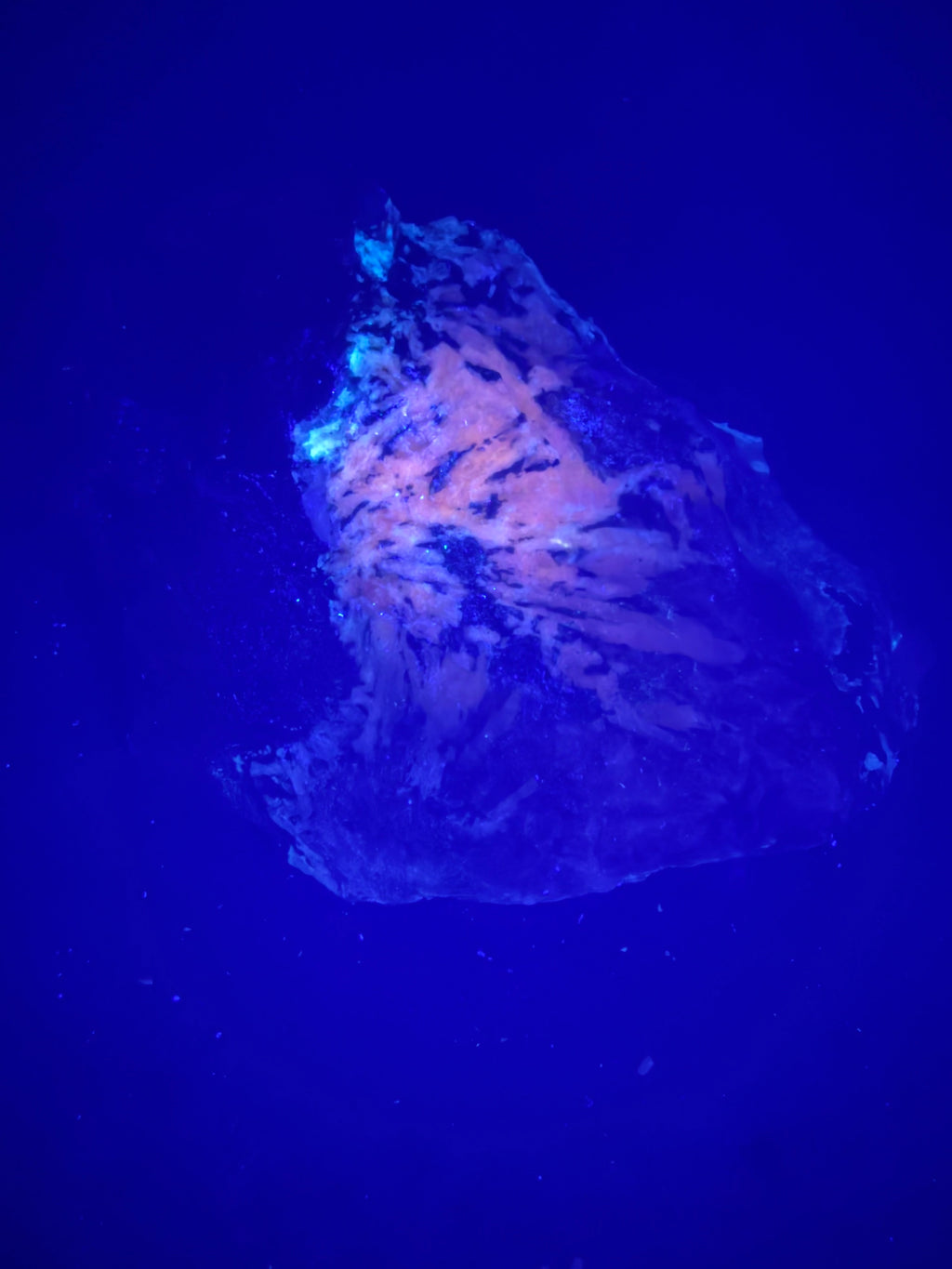 Pyroxène avec Minéraux Inconnus fluorescent – Zec-Bas-Couper-Désert, Québec