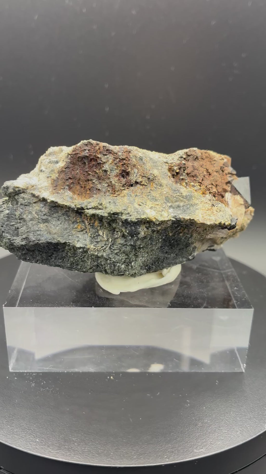 Spinelles Noirs sur Forsterite sur Matrice , Canada, Sp#131